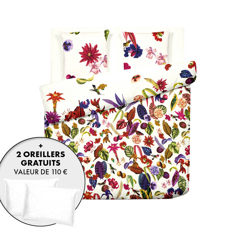 Pack Nuit Pafaite - Jardin Tropical