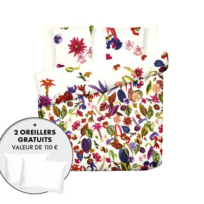 Pack Nuit Pafaite - Jardin Tropical