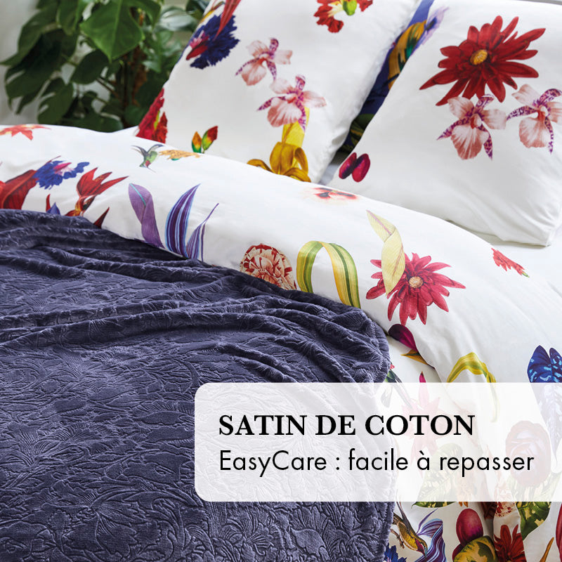 Pack Nuit Pafaite - Jardin Tropical