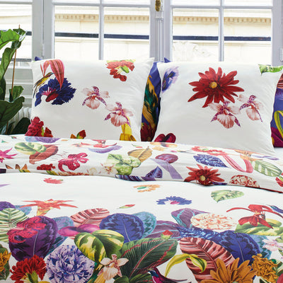 Pack Nuit Pafaite - Jardin Tropical