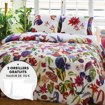 Pack Nuit Pafaite - Jardin Tropical