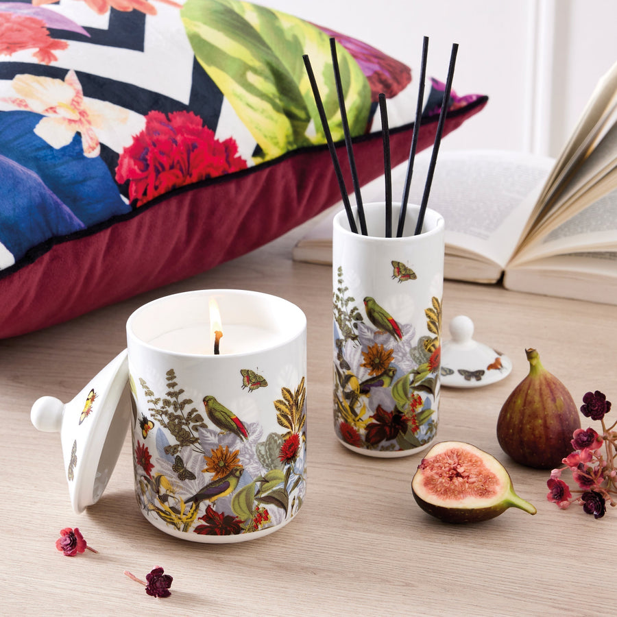 Scented candle in porcelain cup Jardin D'hiver - Fig - 315 g