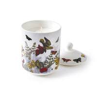 Bougie parfumée en pot de porcelaine - Jardin D'hiver - Figuier - durée de combustion 65h - 315 g - CXL by Christian Lacroix Maison