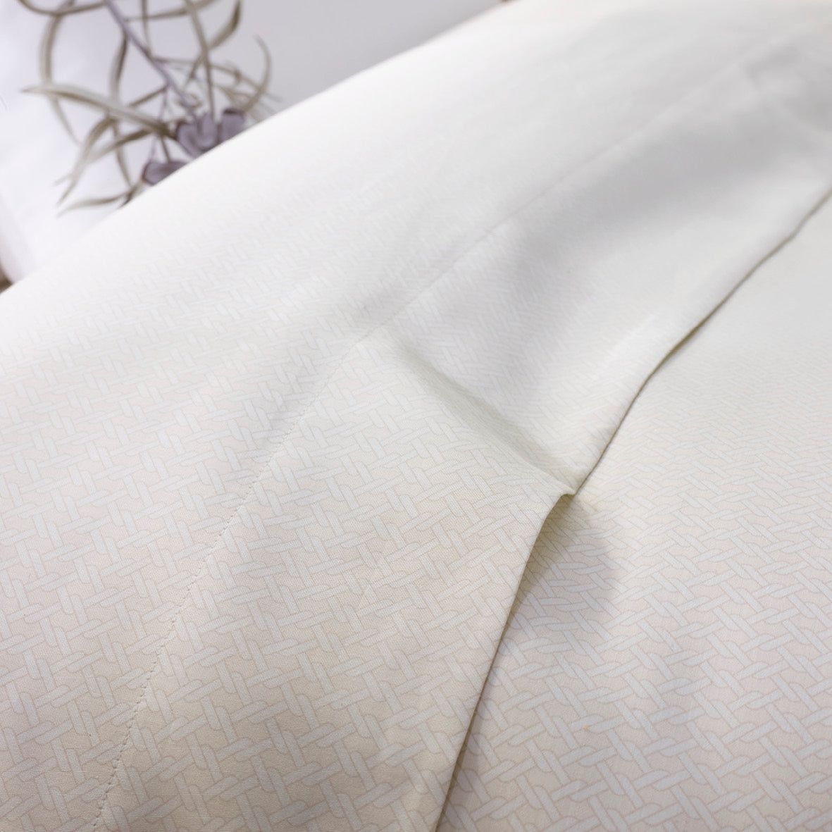 Drap plat satin de coton - Garden Micro taupe - CXL by Christian Lacroix Maison