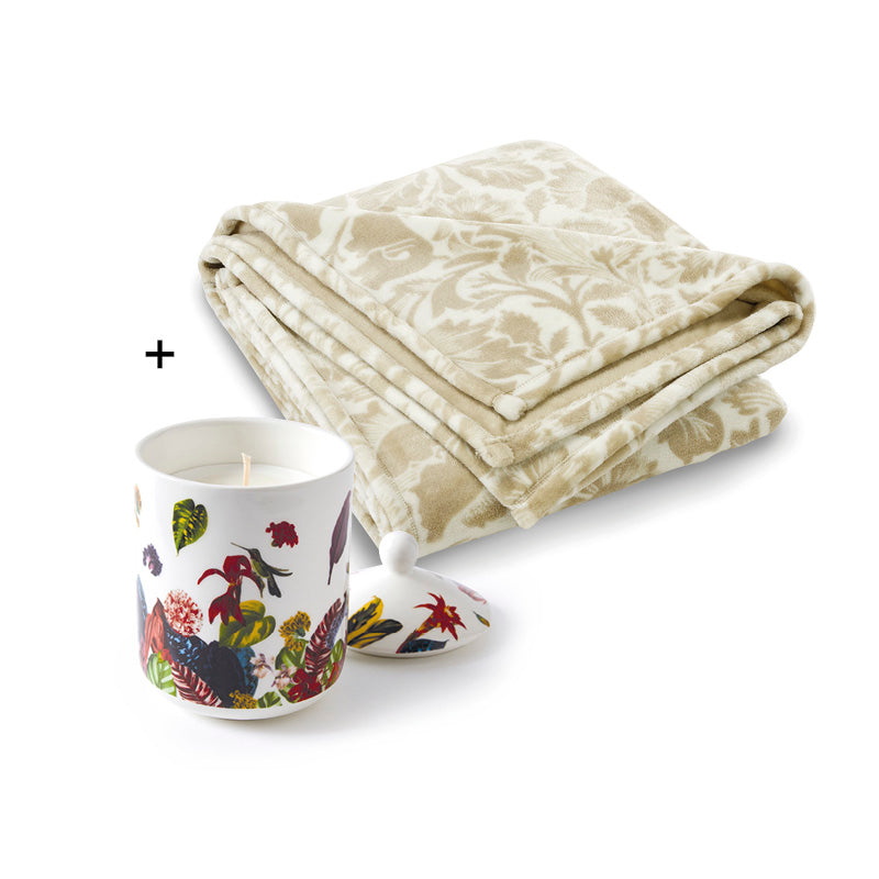 Pack Soirée Douillette - Taupe - CXL by Christian Lacroix Maison