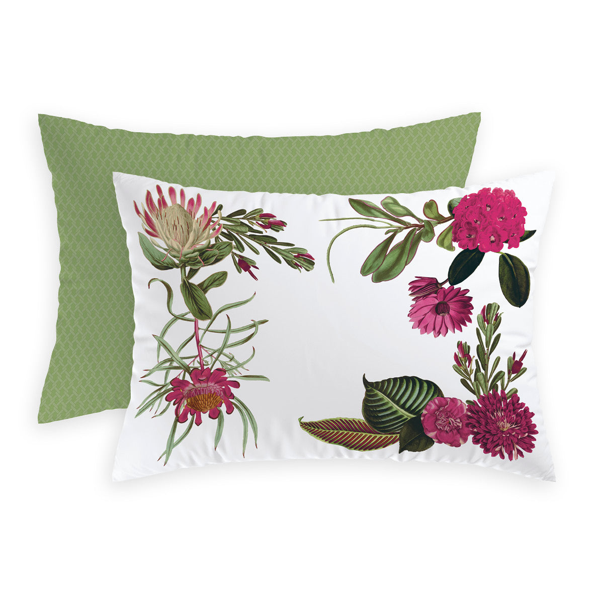 Taie(s) d'oreiller satin de coton - Garden vert - 50 x 60 cm - CXL by Christian Lacroix Maison