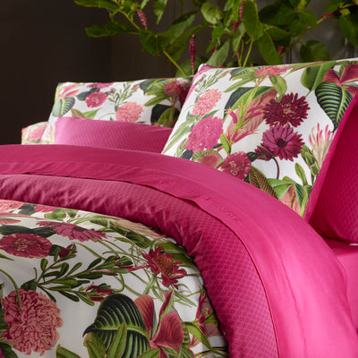 HOUSSE DE COUETTE - 100% satin de coton - Garden Fuchsia - CXL by Christian Lacroix Maison